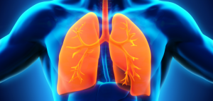 Результати проведення Акції «Дні профілактики туберкульозу та хронічних захворювань органів дихання».